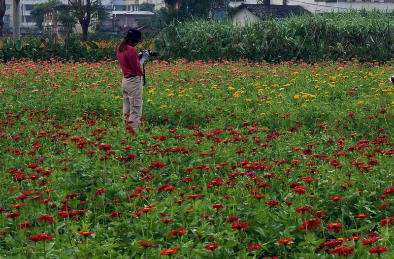 粤港澳大湾区自媒体访韶关：稻花香里说乐昌丰年