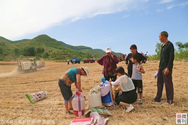 大山深处小麦开割，庄稼地里有人送来承诺书，现场签字