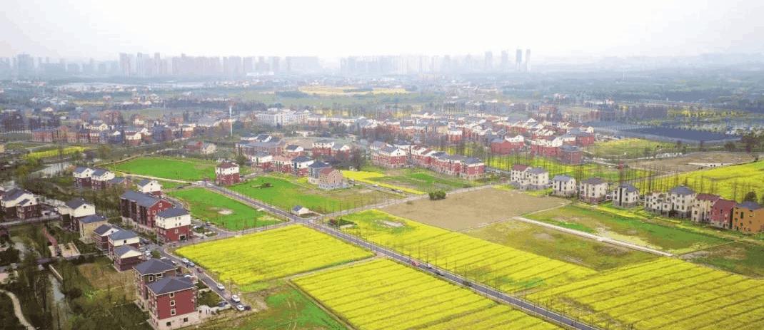 杭州高国飞公示,高国飞西湖区