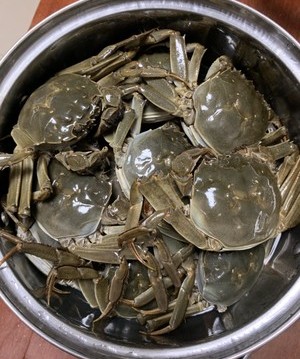 花雕醉蟹和陈皮花雕醉蟹,醉蟹的制作方法小视频