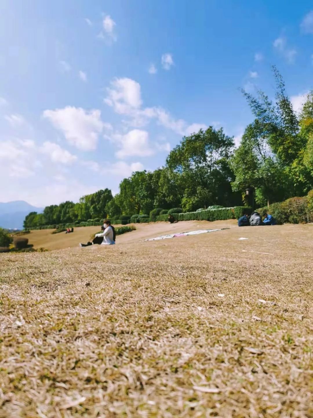 疫情下的县城夜晚照片真实,疫情时期农村的真实生活