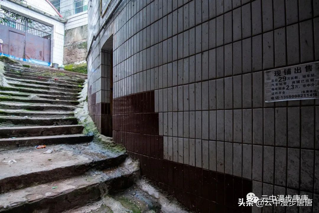 行走的风景岳池,行走的“风景”