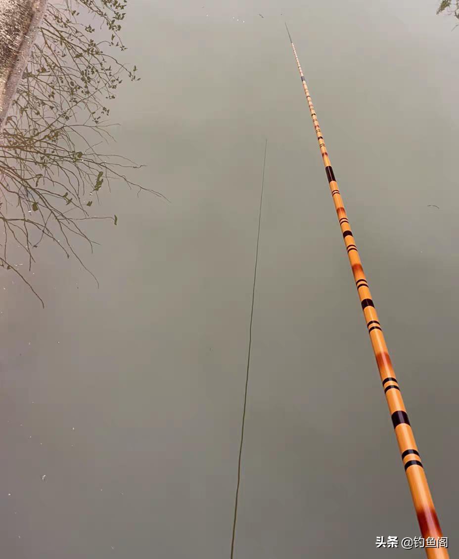 比较好的综合钓鱼竿,最好用的几款钓鱼竿推荐