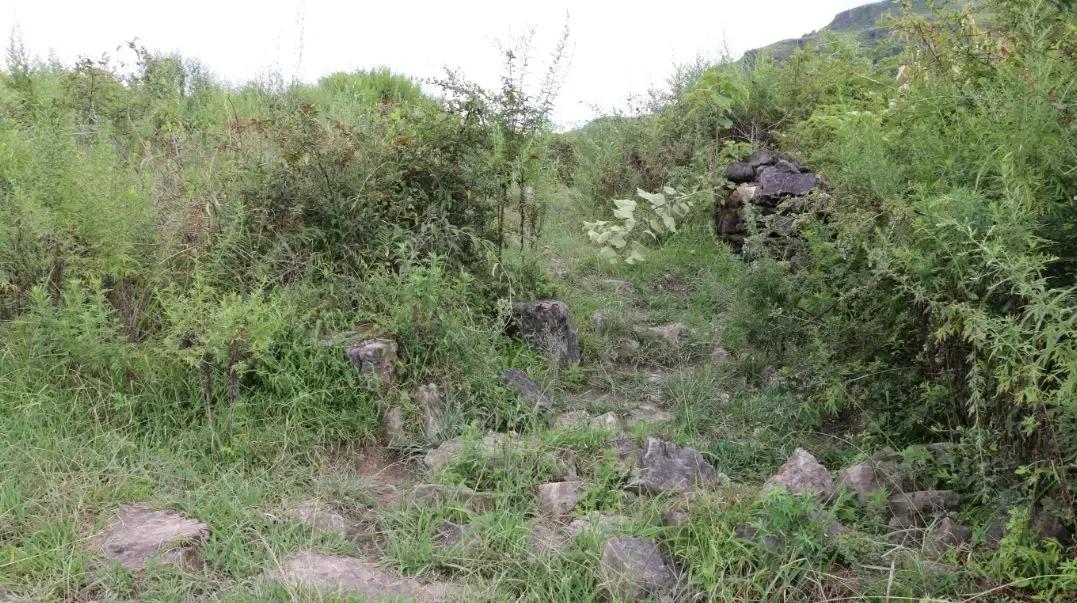 分享我的初心故事,我的初心故事40期