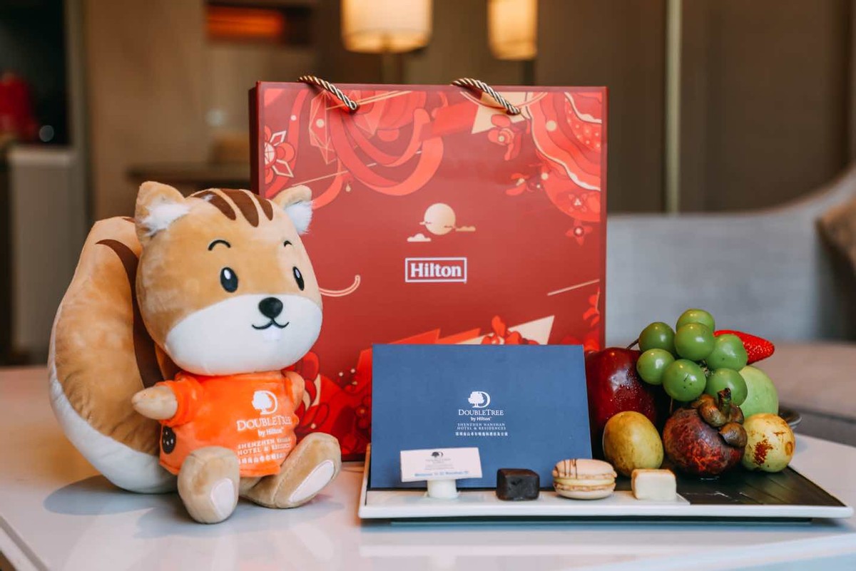 深圳南山希尔顿逸林酒店一室一厅,南山希尔顿逸林酒店介绍