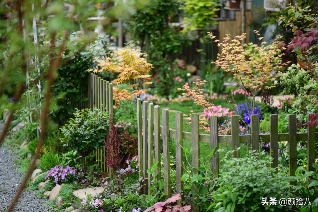 愿时光静止,愿时光静止在这一刻