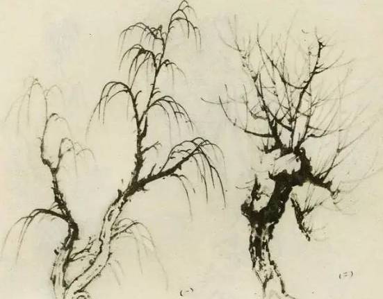 画树教程,怎么画树好看又超级简单