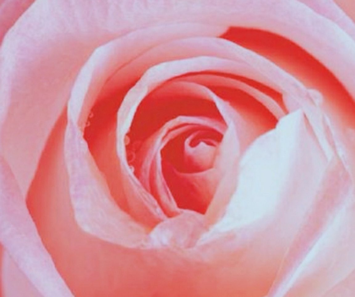 女性尿道口处痒痛,女性私护处长痘痒什么原因