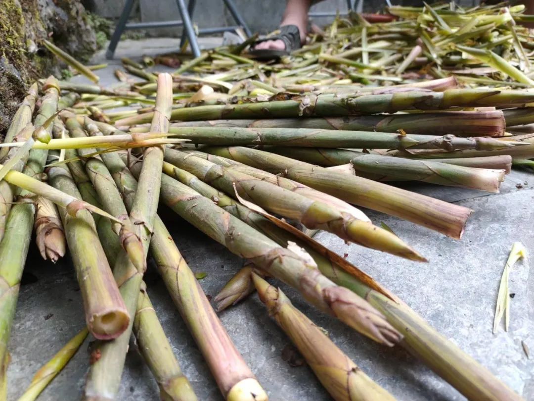 首届梦控师线下工作坊：走在梦的路上，胜过人间天堂