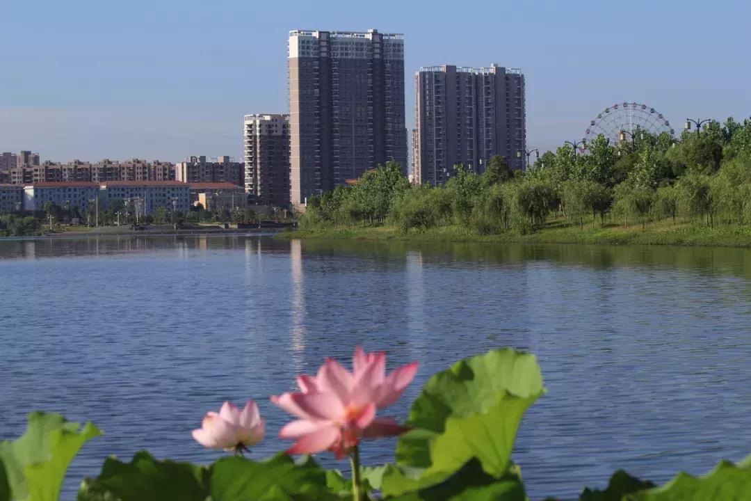 江西抚州最近的消息,抚州市最新消息今天