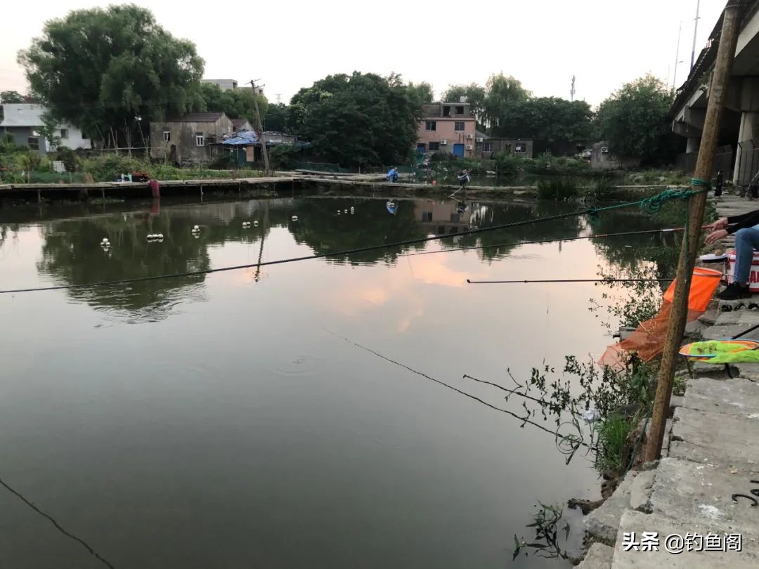 滑口鱼居多的坑怎么钓,滑口鱼口乱用什么浮漂