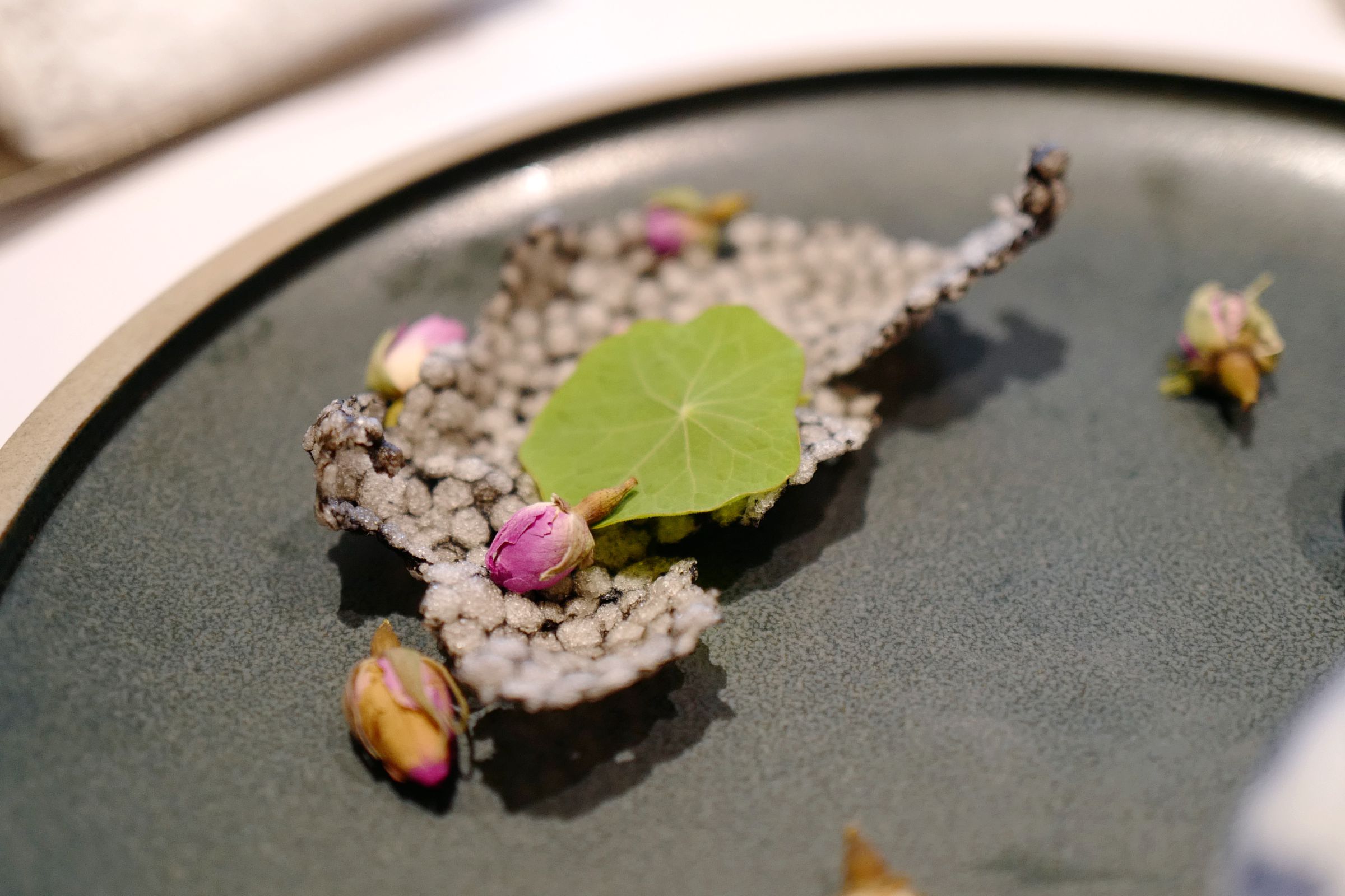 一盘简单的生炒菜心刷新了我对美食的认知