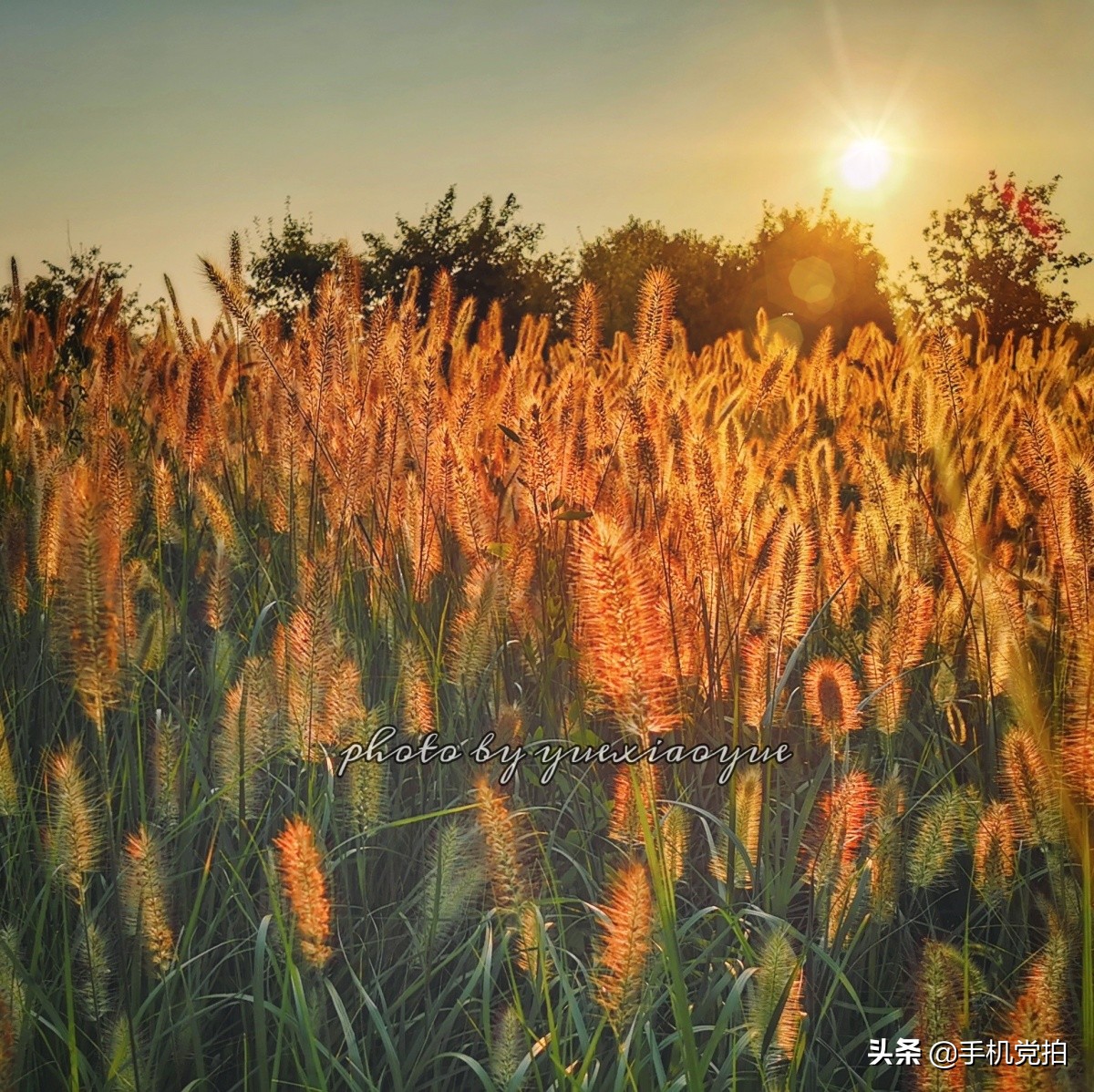 手机拍照逆光解决方法,手机拍照逆光怎么避免过曝