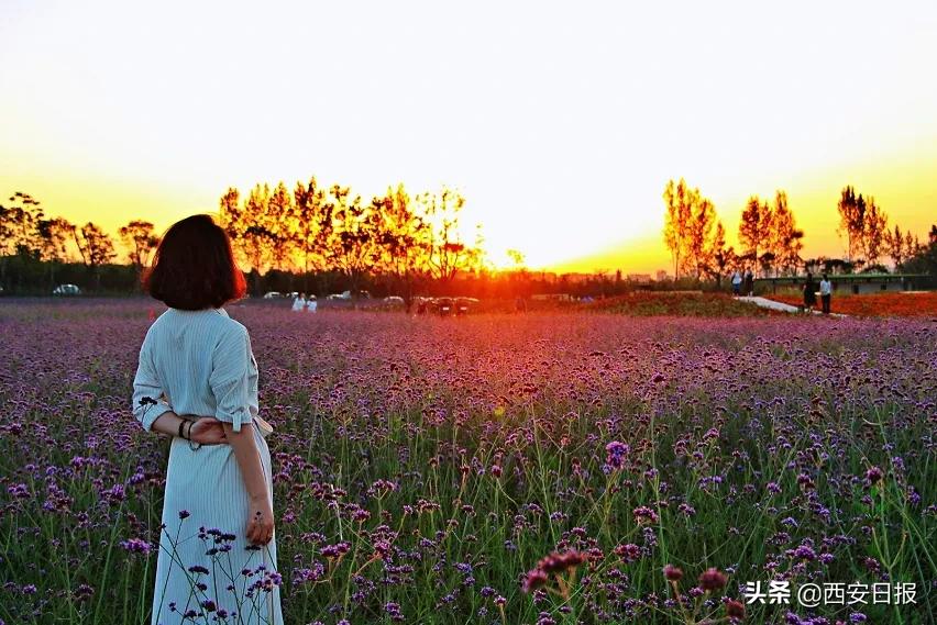 西安市有哪些公园免费开放,西安免费儿童玩的公园