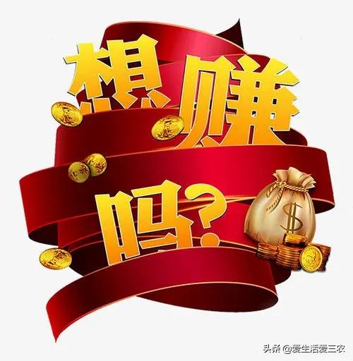 低成本小投入的行业,现在做什么低成本高收入行业