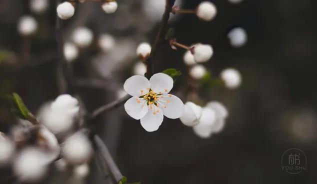 一个人真正的成熟的标志是什么,真正成熟的4个标志