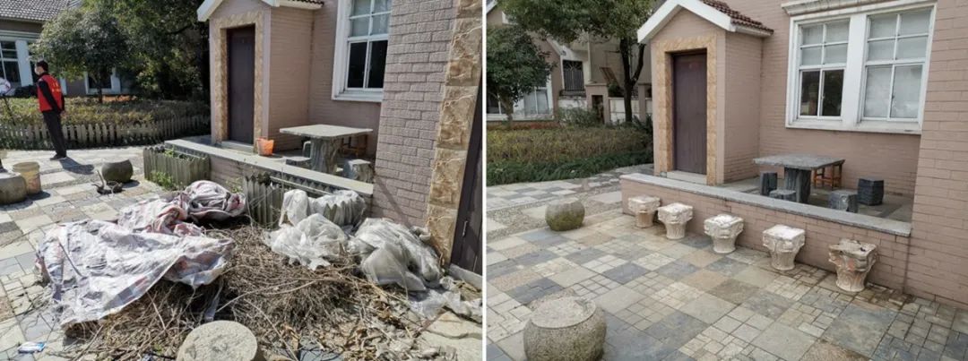 驻颜有术完整版,驻颜有术在哪观看