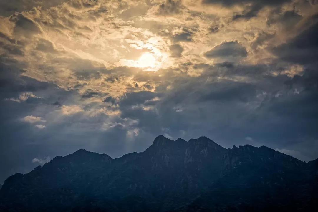 九华是哪个学校的学区房,九华学区房