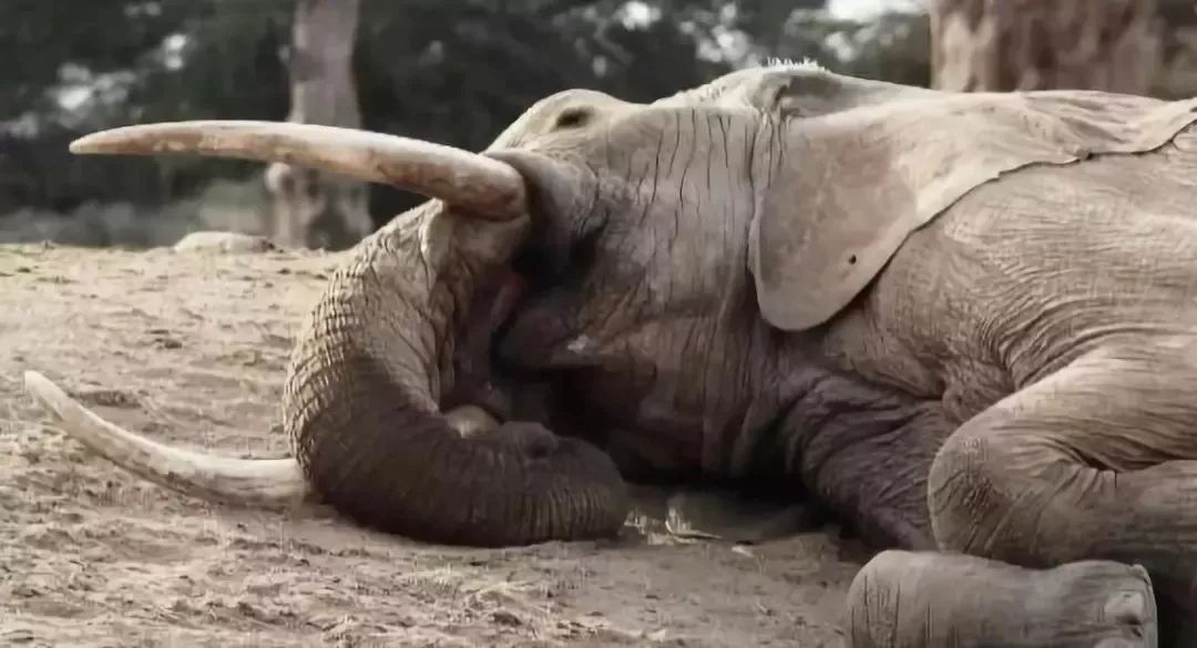 年度最佳女主角范冰冰,颜值与演技力压范冰冰