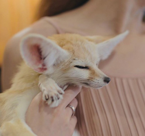 去泰国旅游需要做好哪些攻略,去泰国旅游一定要去这几个地方