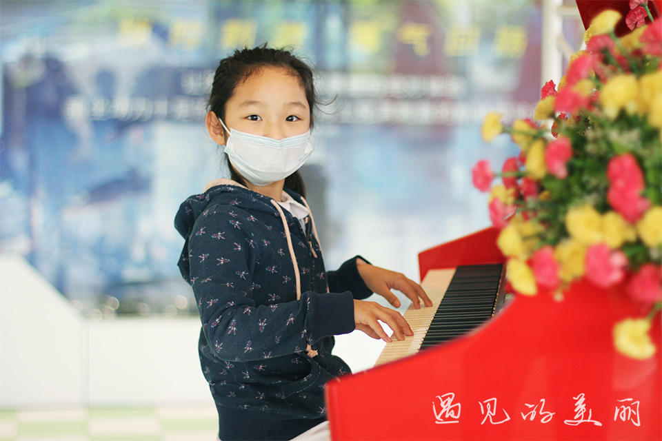 百万葵园有多坑,百万葵园免门票