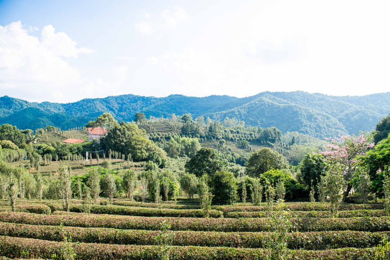中国足球旅游胜地,足球旅游胜地上海