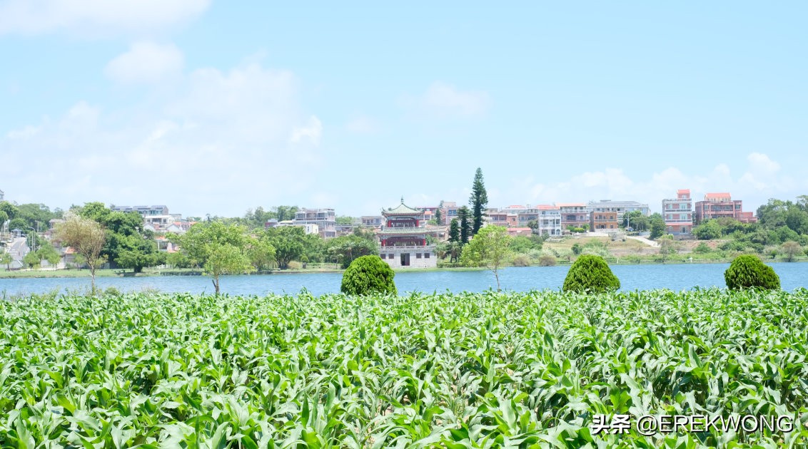 广州游玩的小岛,广州海岛好去处