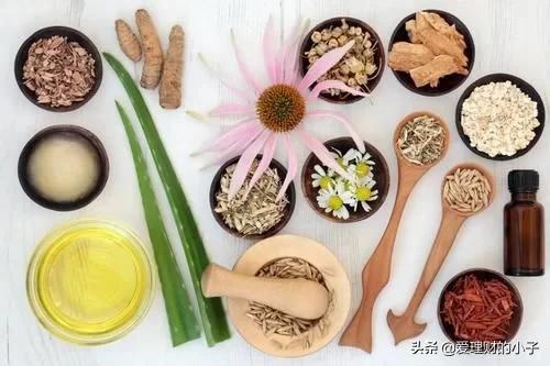 零成本冷门小生意推荐一下,有没有低成本的小生意做起来容易