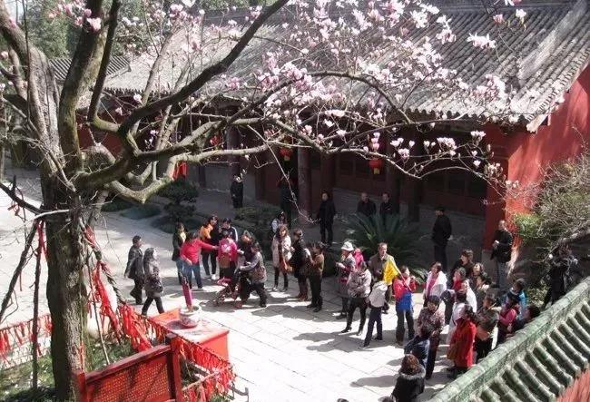 这里是勉县，一个让你流连忘返的地方