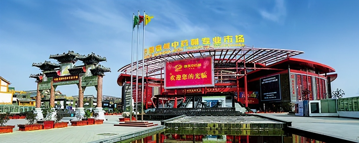 5月19日中药材市场快讯：猫爪草、明*党**参、虎杖、南五味子