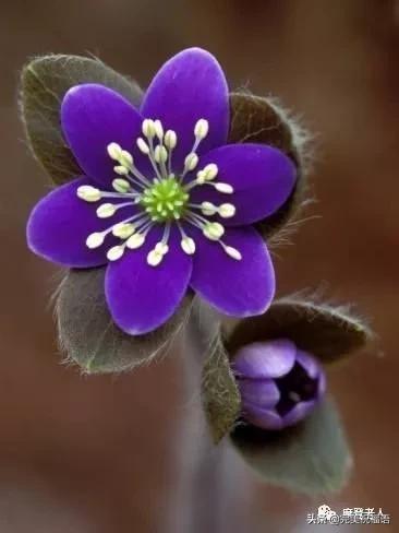 大年初三群相册，有群的都看看，太美了，这辈子见一次值了