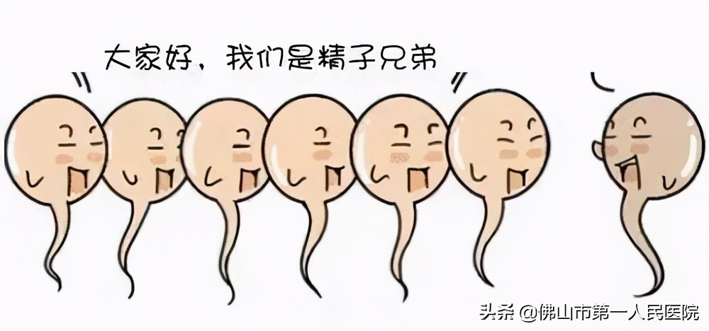 沙漠寻找绿洲,沙漠上寻找绿洲