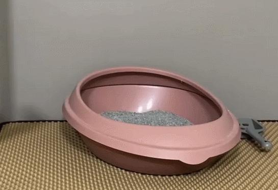 煤老板爆红完整版,煤老板ins