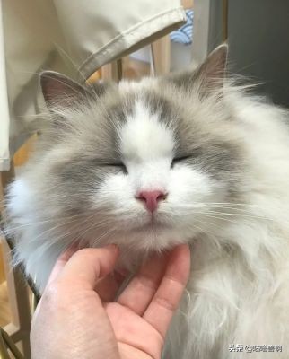 带你发现上海超治愈打卡地,上海人不会推荐的地方