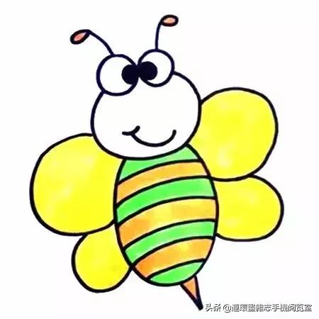 可爱的小昆虫简笔画,我认识的昆虫简笔画