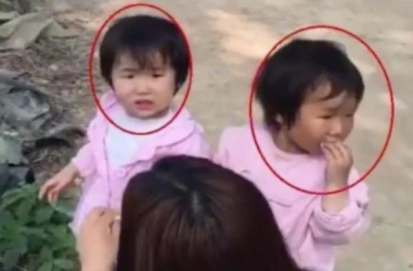 老喝豆浆可以代替奶粉吗,豆浆可以代替配方奶粉吗