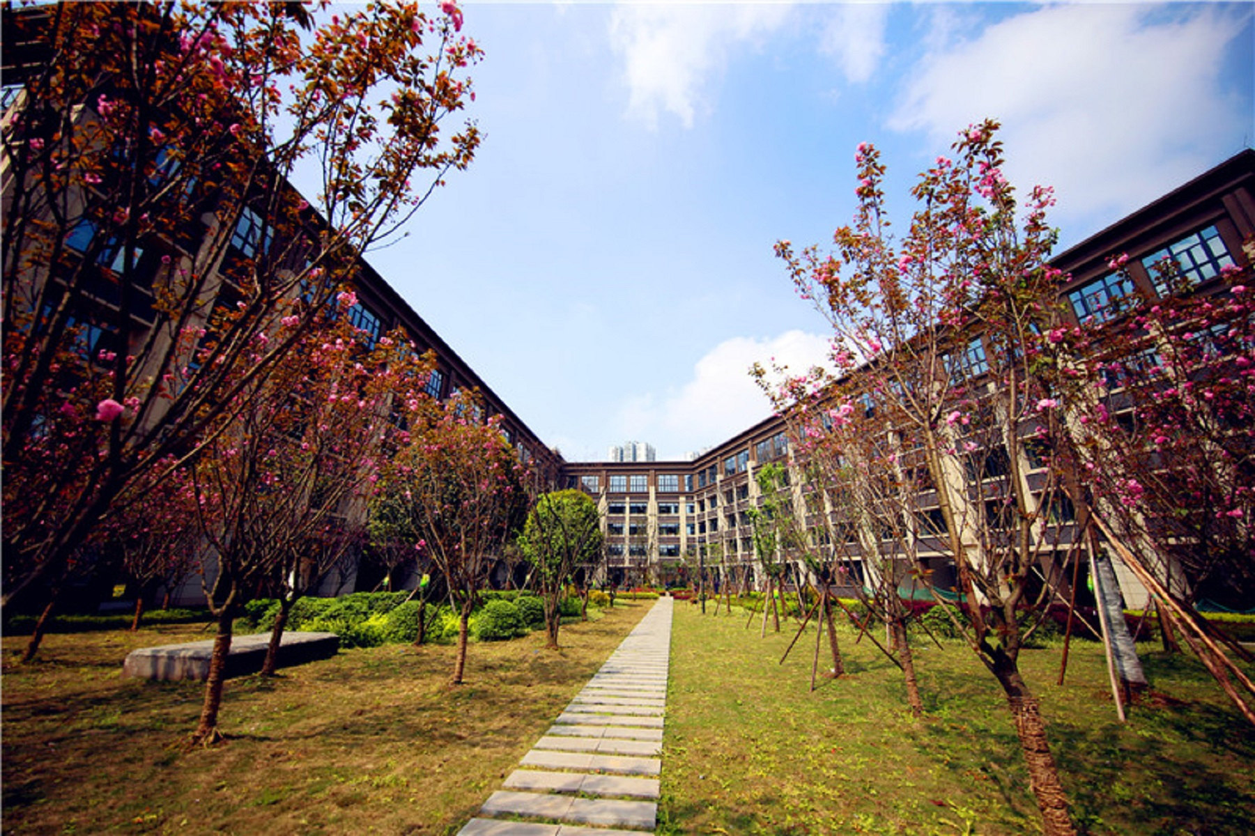 重庆哪所学校环境最好,重庆最美学校