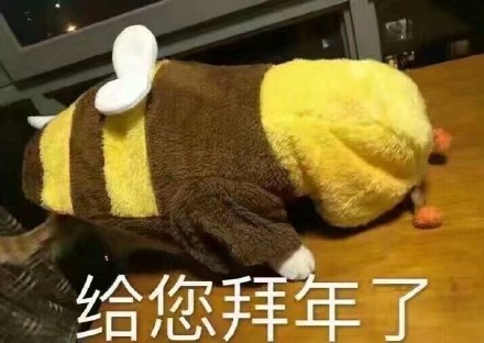 猪年拜年表情包大全,猪年表情包可爱