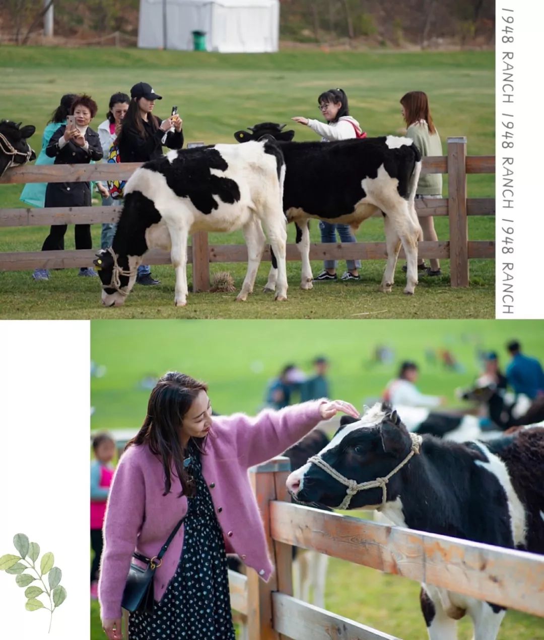 隐匿于大连的这片清澈之地，看的是蓝天白云，呼吸的是草木芬芳