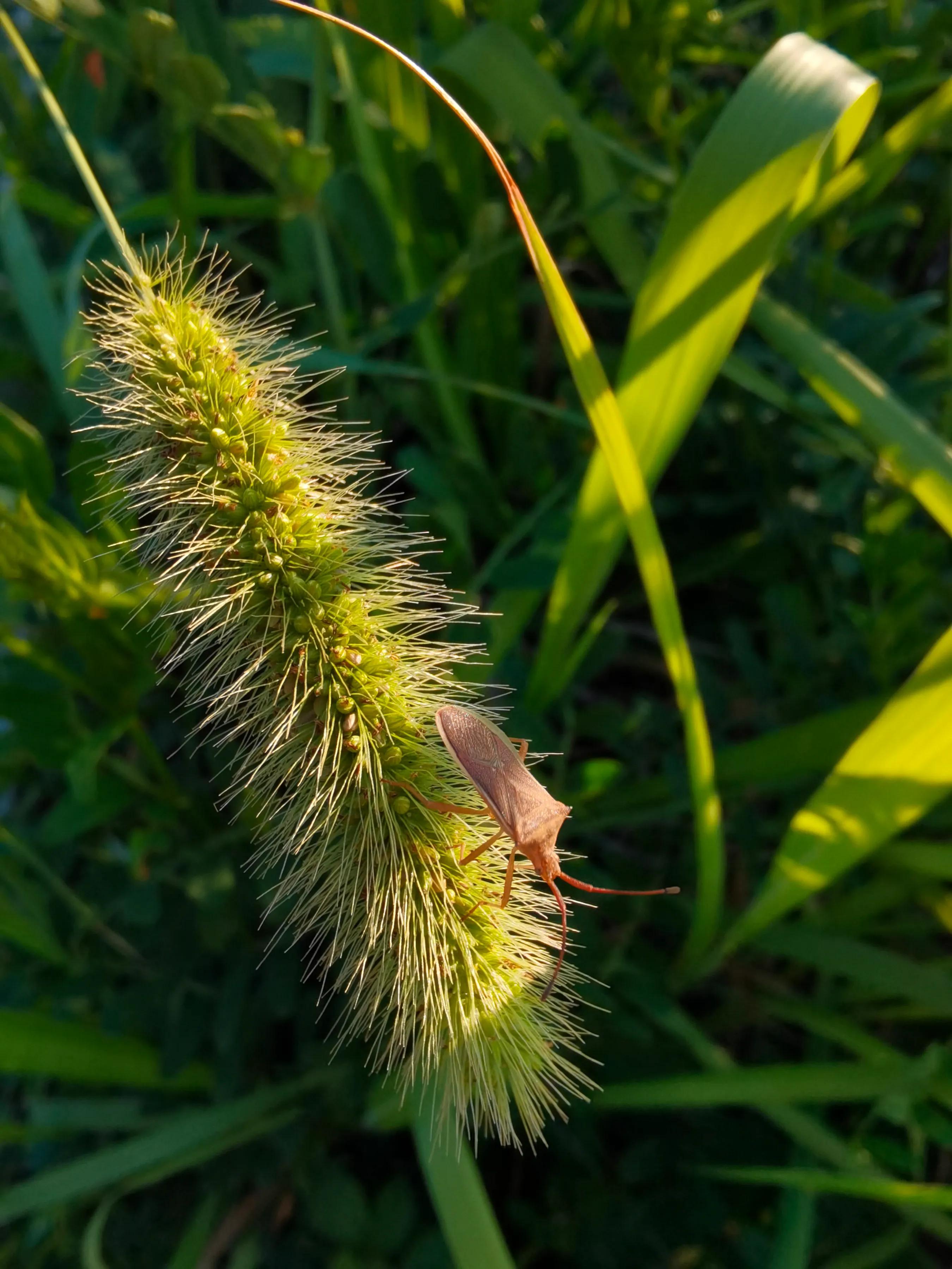 手拍世界投稿,手拍世界作品专集