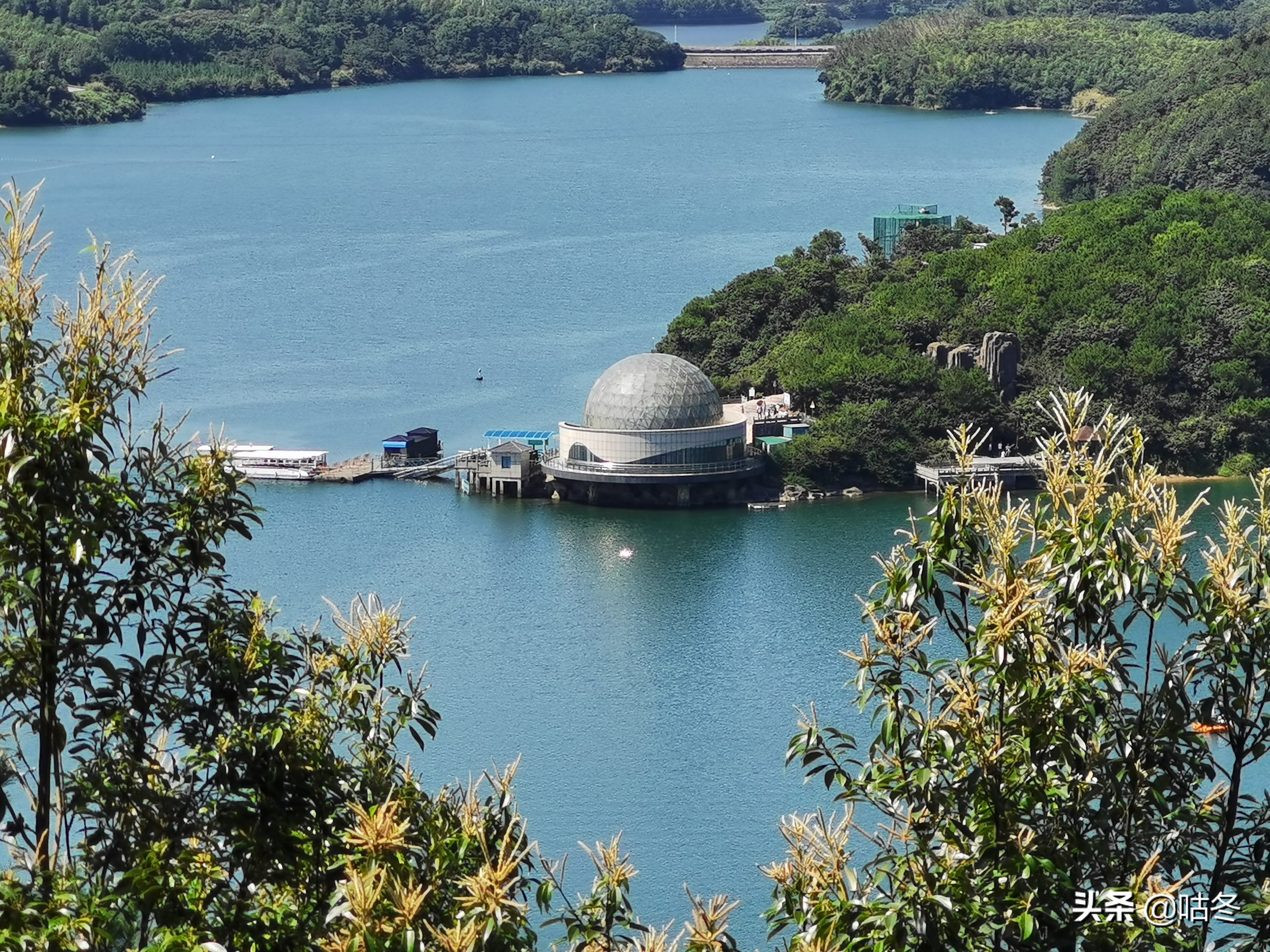 宁波九龙湖风景区免费游玩攻略,宁波九龙湖旅游度假区猴岛官方