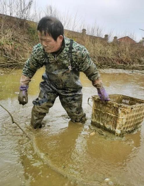 抗击疫情农民人物故事10例,抗疫故事书籍