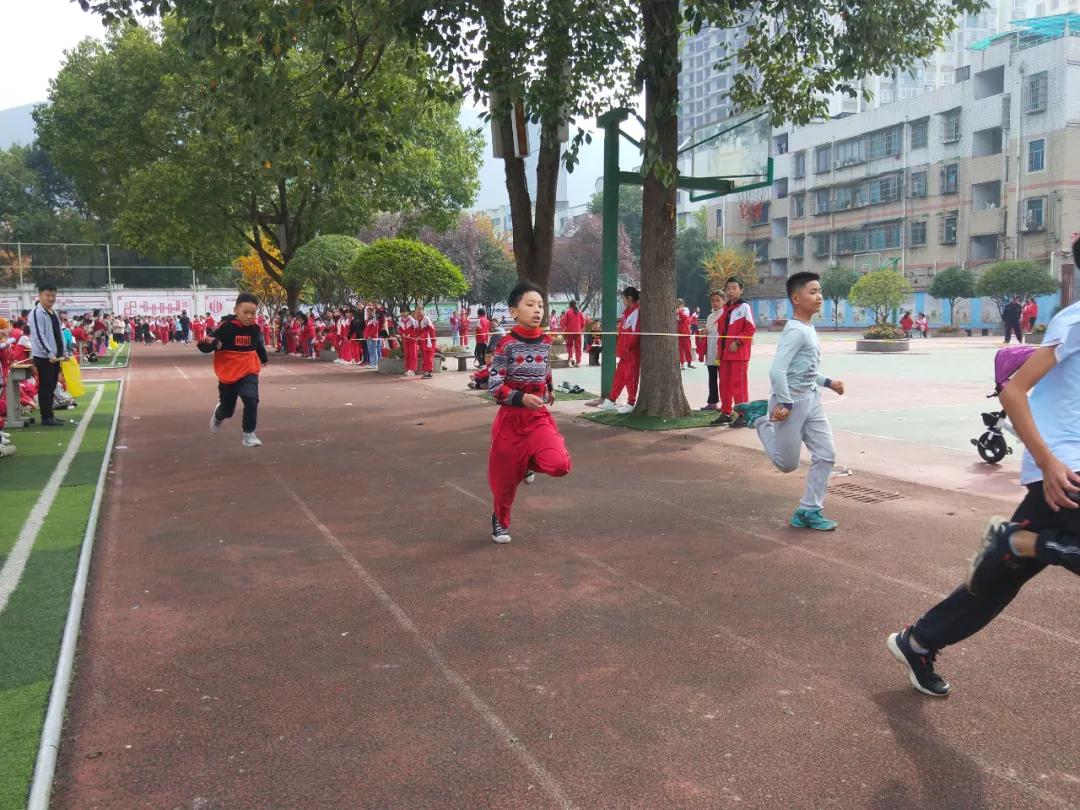 向日葵、比卡丘,嗨翻桐梓这些学校