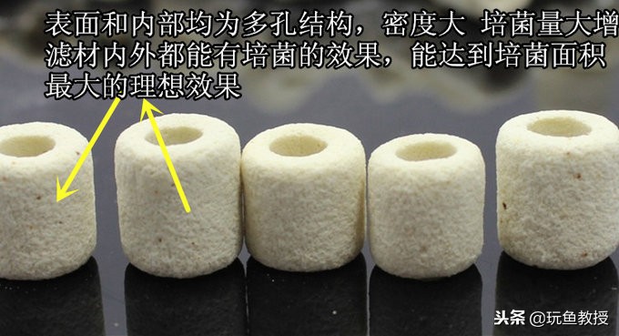 怎么就知道硝化细菌养好了,如何快速养好硝化细菌