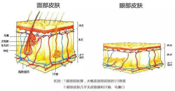 15秒了解眼睛有疾病,120秒轻松解决眼部问题