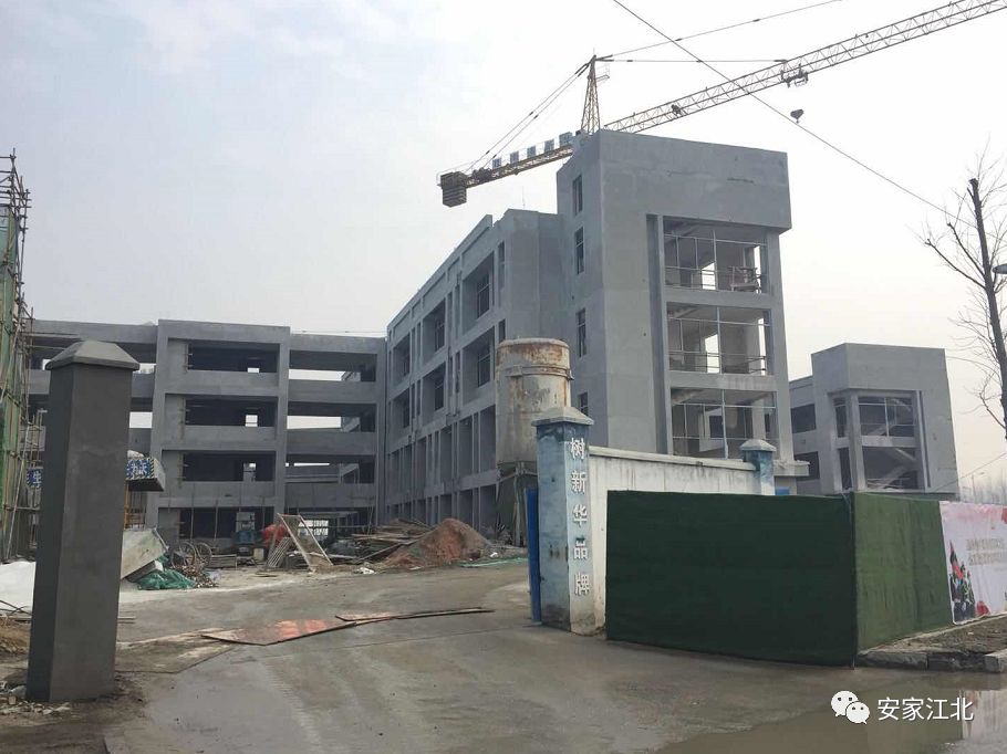 北京东路小学开发区分校,北京东路小学分校紫金分校怎么样