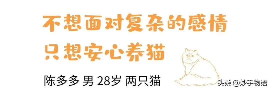 为什么总有人说养猫不如养小孩,年轻人不生孩子反而开始养猫了