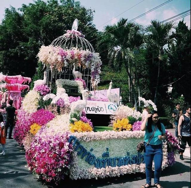 花卉蔬菜制作教程,花卉怎么做