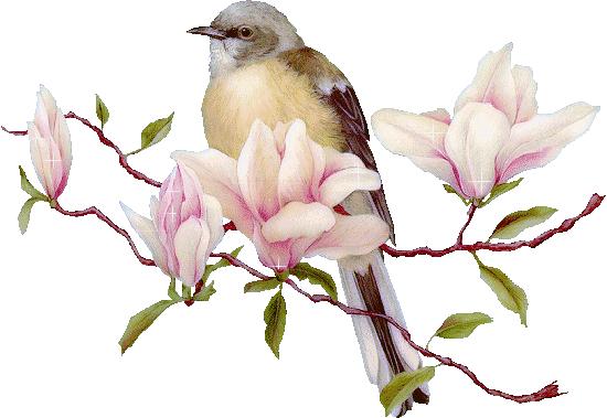 立春天气好宅在家里,立春宅在家