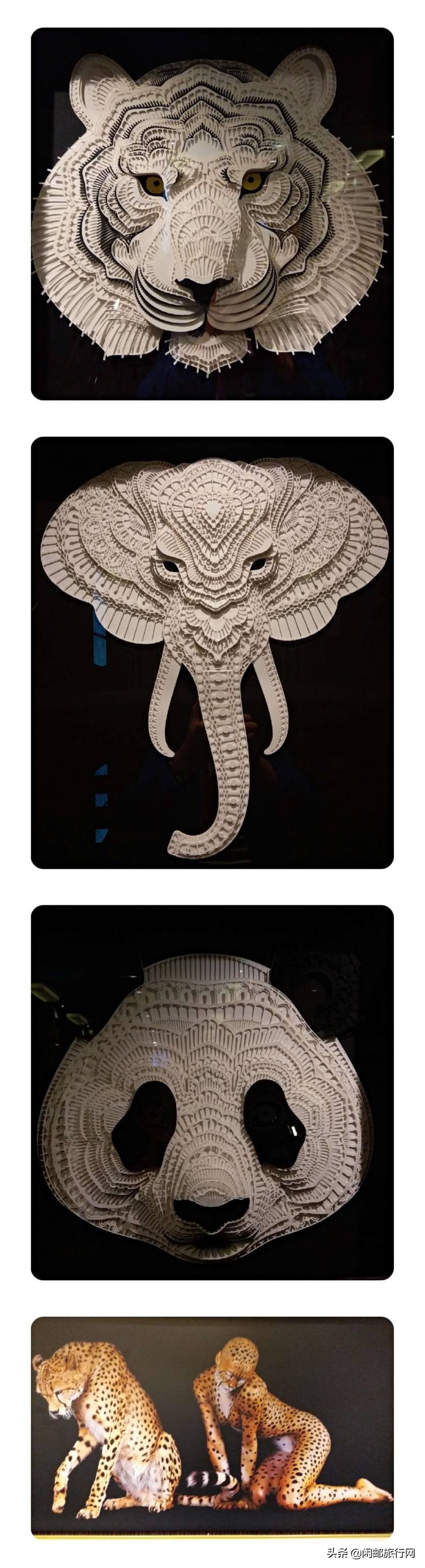 流光溢彩海洋光谱号日本之旅